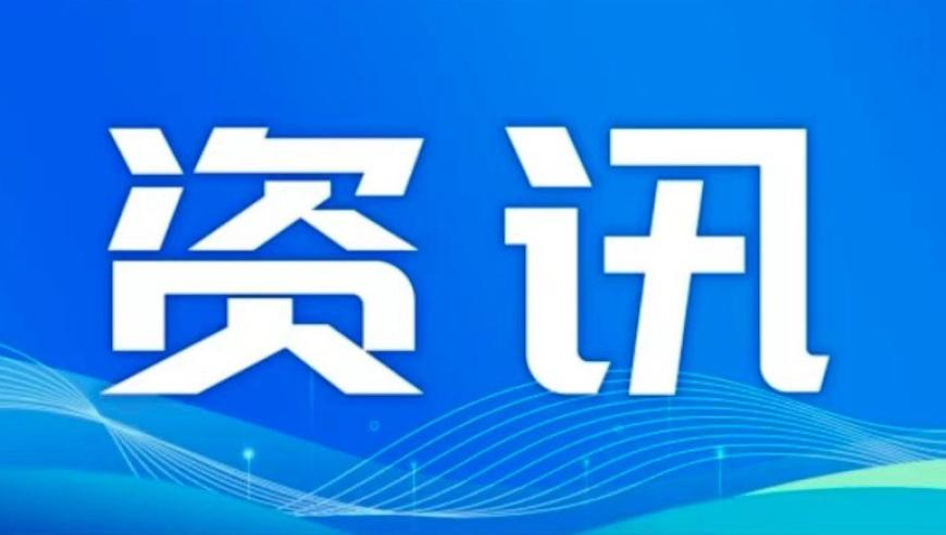 澳门一注辉煌资料,年轻人居家造金月入5万,经济性执行方案剖析_游戏版V6.95