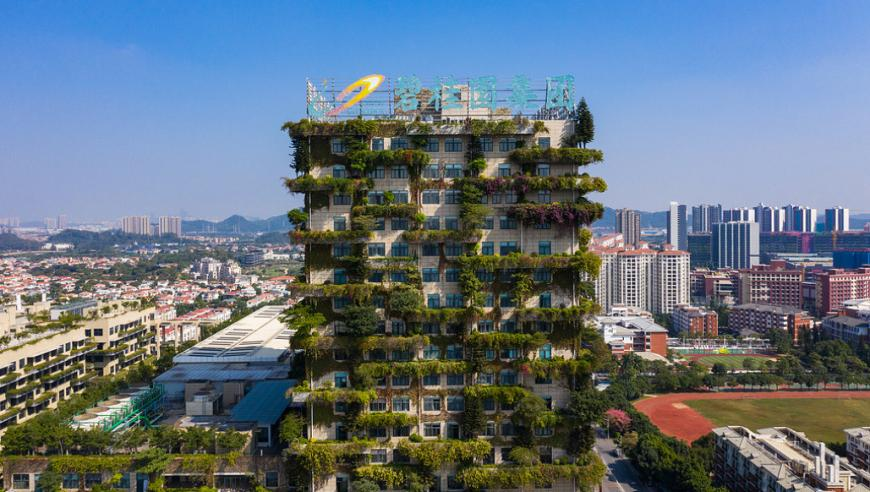 湖北省委原书记蒋超良被查,381818白小姐开奖结果一肖中18,精准解释落实的人生哲理_入门版V14.29